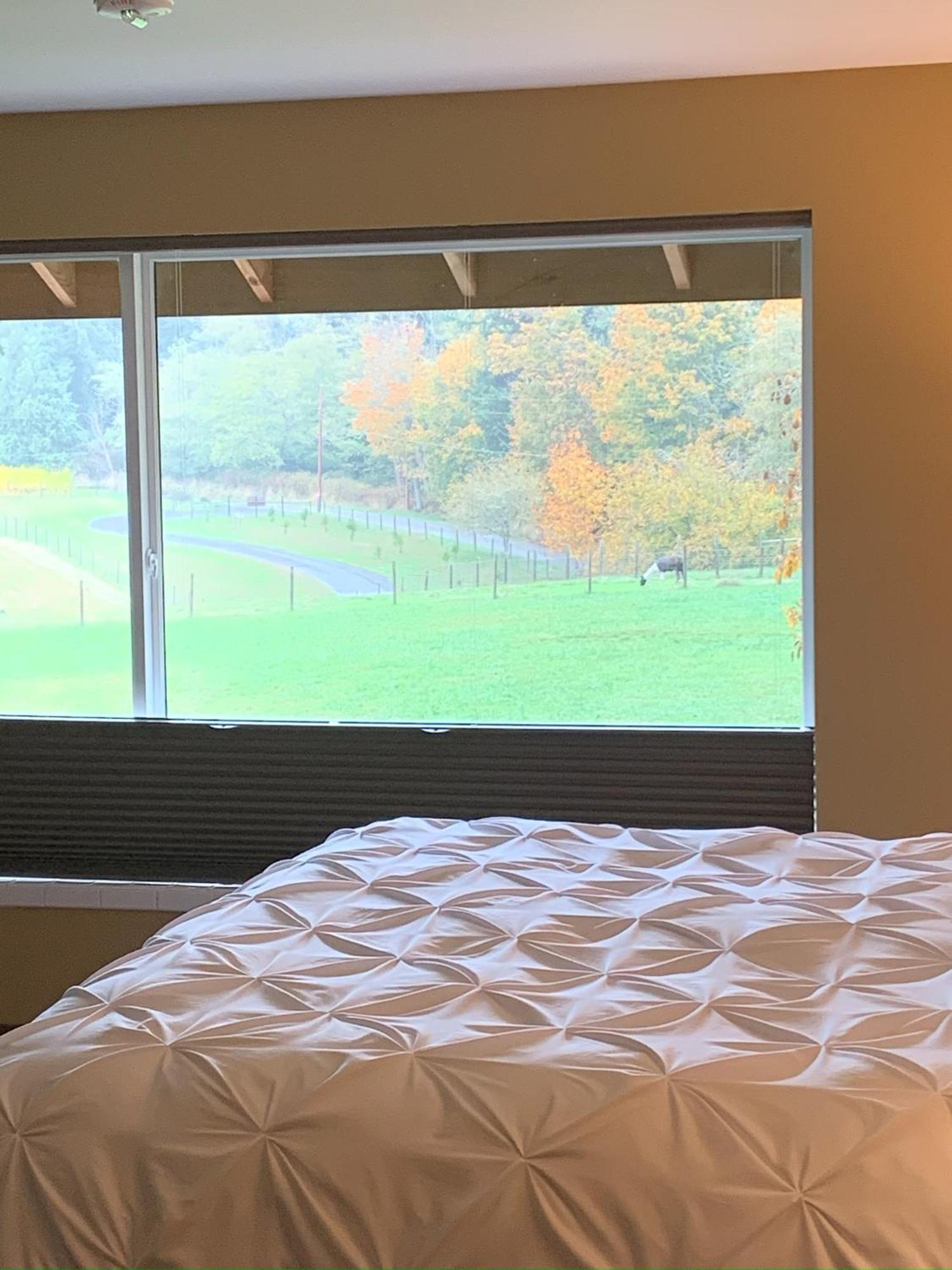 Comforts Of Whidbey Langley Extérieur photo
